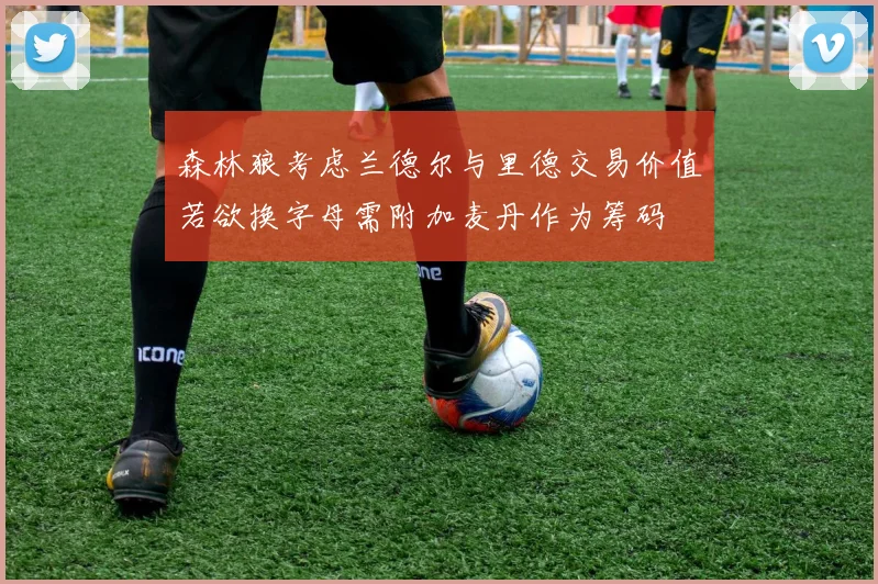 森林狼考虑兰德尔与里德交易价值若欲换字母需附加麦丹作为筹码
